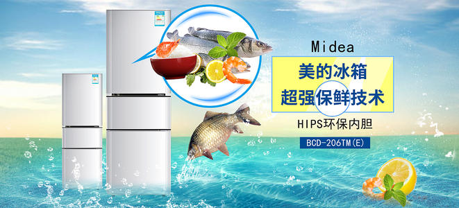 白俄罗斯假的多少钱